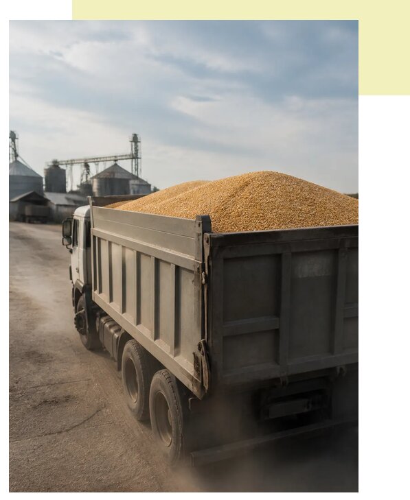 Перевозка сельхозпродукции навалом в Павлово по цене от 3041 р. | Агросервис-Пвв