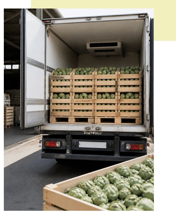 Автоперевозка артишоков в Павлово по цене от 5069 р. | Агросервис-Пвв